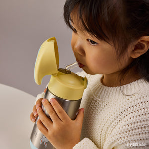 Insulated Drink Bottle 350ML (Looney Tunes)