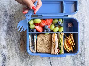 Jupiter Bento Box - Blue Storm