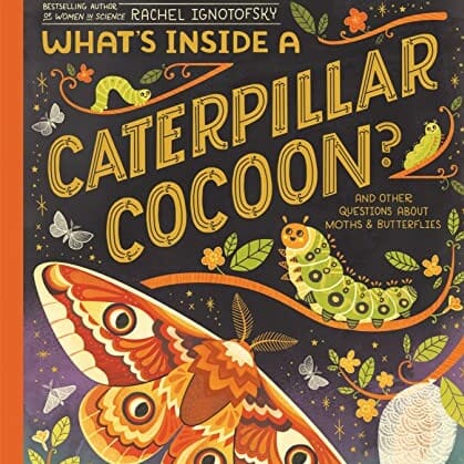 Whats Inside A Caterpillar Cocoon
