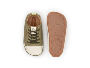 Funky (Olive Tree/Tapioca)