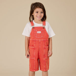 James Vintage Washed Denim Overalls