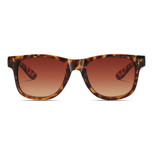 The Classic Sunglasses (Tortoise Shell)