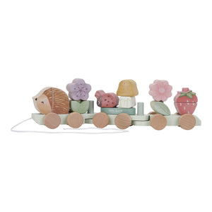 Fairy Garden Hedgehog Stracking Train