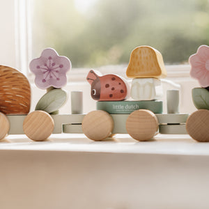 Fairy Garden Hedgehog Stracking Train