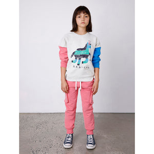 Minti Magical Furry Crew