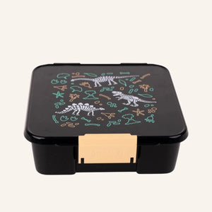 Bento Five Lunch Box (Dinosaur Land)