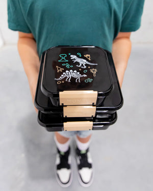 Bento Two Lunch Box (Dinosaur Land)