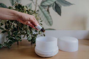 Glow Lullaby Essential Oil