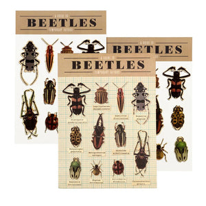 Tattoos (Beetles)