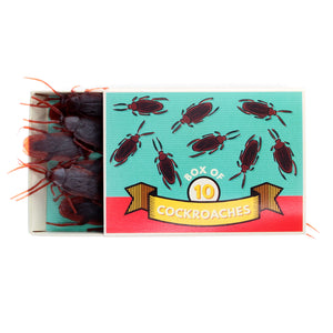 Cockroaches Box Of 10