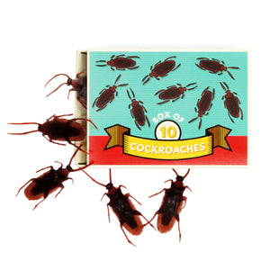 Cockroaches Box Of 10