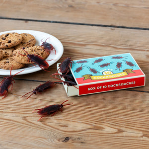 Cockroaches Box Of 10