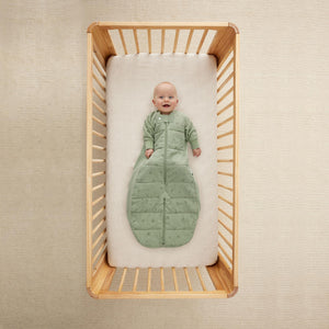 Sleep Suit Bag 2.5 tog (Willow)