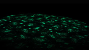 Space Toy (Glow in the Dark) Storage Bag