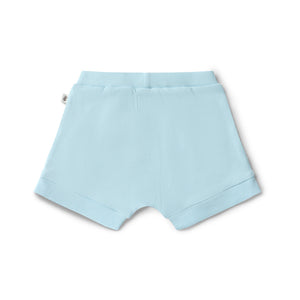 Baby Blue Shorts