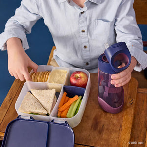 Bento Lunchbox (Harry Potter)