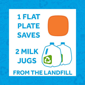 Flat Plate (Lemon Drop)