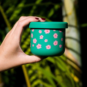 Ditsy Snack Pot (250ml)
