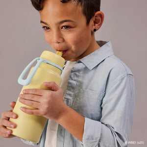 Insulated Flip Top Drink Bottle 1L (Looney Tunes)