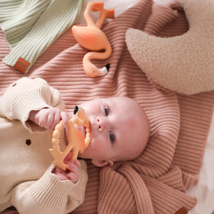 Lingo The Flamingo Mini Teether