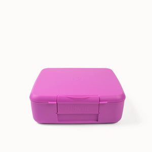 Bento Feast Lunch Box (Fuchsia)