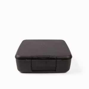 Bento Feast Lunch Box (Midnight)