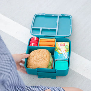 Bento Feast Lunch Box (Pine)