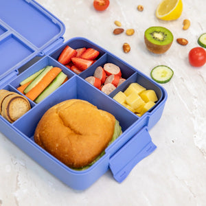 Bento Feast Lunch Box (Splash)