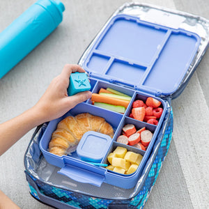 Bento Feast Lunch Box (Splash)