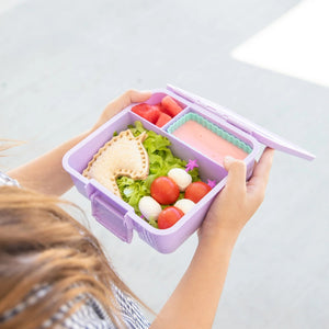 Mixed Bento Cups (Marine)