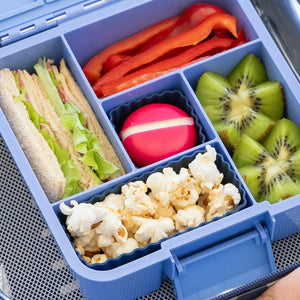 Mixed Bento Cups (Navy)