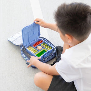 Mixed Bento Cups (Sunbeam)