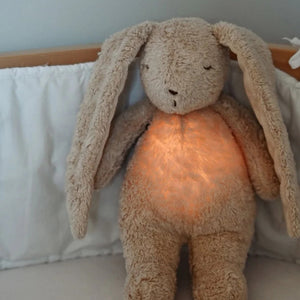 Humming Bunny (Sand)