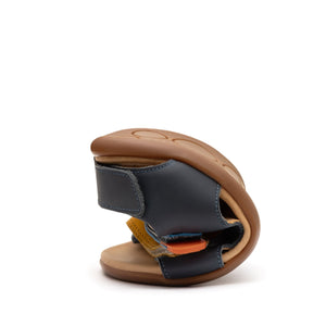 Explorer (Navy/Caja/Blue Tang)