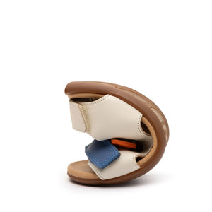 Explorer (Tapioca/Blue Tang/Salsa)