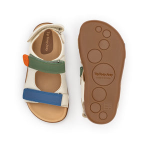 Explorer (Tapioca/Blue Tang/Salsa)