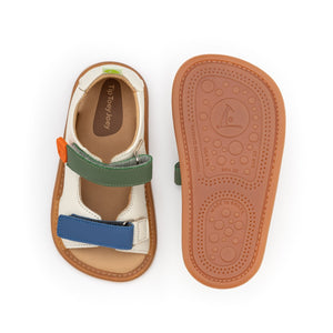 Explore (Tapioca/Blue Tang/Salsa)