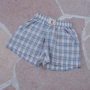 Plaid Shorts