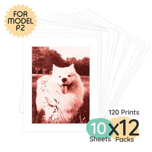 Print Pack 120 Prints (Model P2)