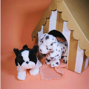 Debbie the Dalmation