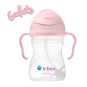 Sippy Cup (Blush)