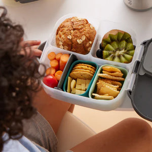 Mini Bento Lunchbox (Graphite)