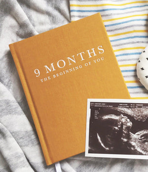 9 Months (The Beginning of You)