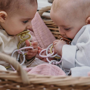 BIBS Loops (Haze/Meadow/Blossom)