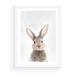 Bunny - A2 Framed Print