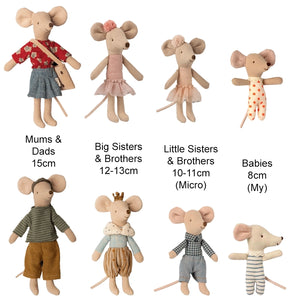 Mum & Dad Mice in Cigar Box