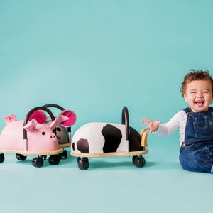 Pig Wheely Bug (Small)