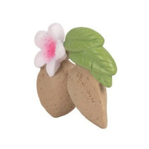 Aly The Almond Teether