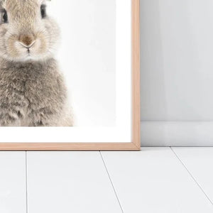 Bunny - A2 Framed Print