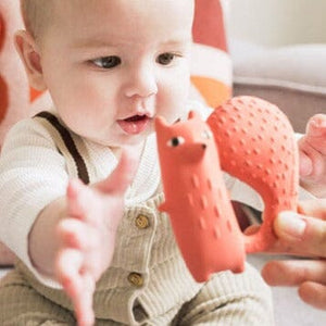 Cyril The Squirrel Teether